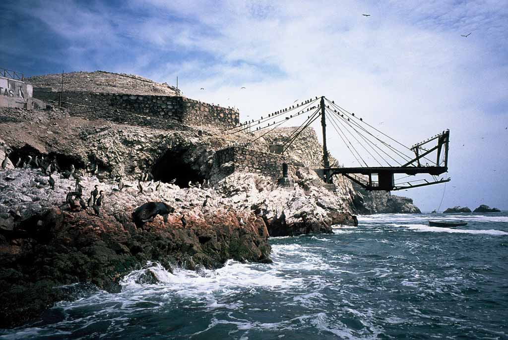 GUANO