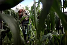 farmer
