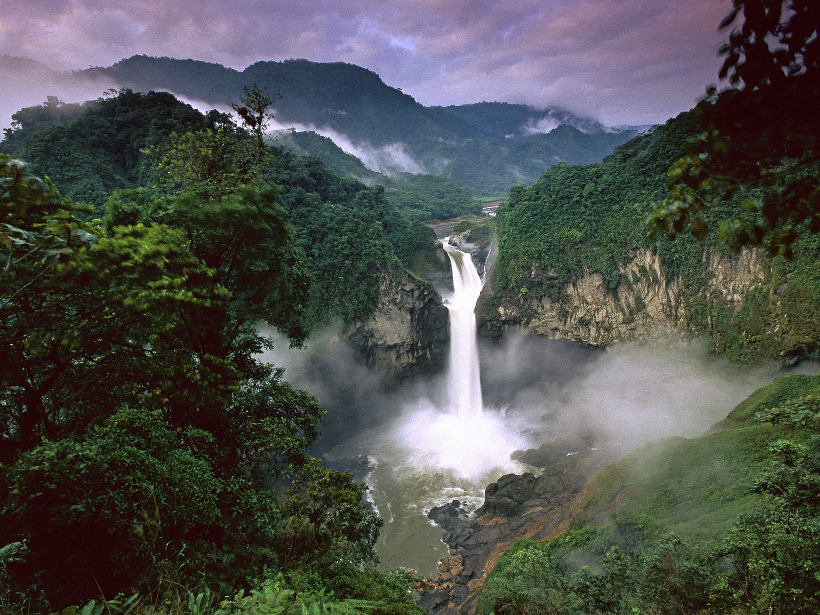 Parque Nacional Yasuni (Fuente: Hintadupfing Park)