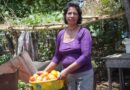 Feeding the people in times of Pandemic: The Food Sovereignty Approach in Nicaragua