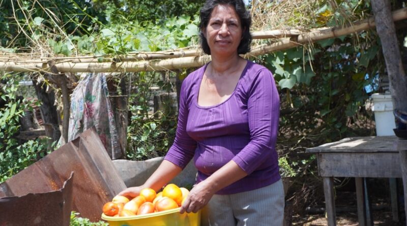 How Do Women Provide Food For Their Families In Nicaragua?