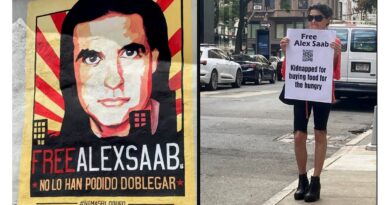 Saab Oral Argument Focuses on Legitimacy of Maduro Government Saab Oral Argument Focuses on Legitimacy of Maduro Government